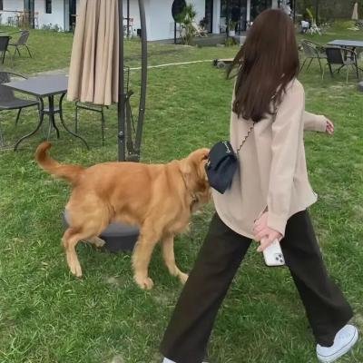 性福演算法